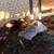 Coturnix quail hens 1 thumbnail