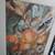 "Mushrooms" Water Colour Study Artist Signed Hoston 4 thumbnail