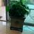 INDOOR PLANTER 45x45 ON IRON STAND & ARTIFICIAL PLANTS..price in pesos 2 thumbnail