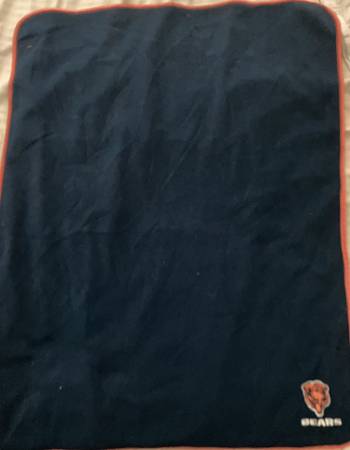 Bears Baby Blanket 1