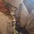 Bear vast compound bow 1 thumbnail
