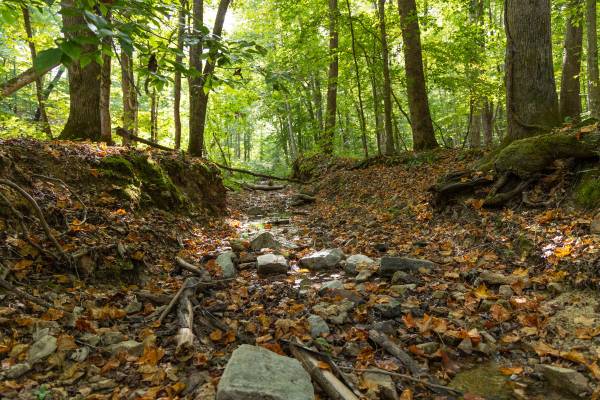$62,071 / 620730ft2 - $389/mo 14.25 acre lot with paved road access (FSBO)(land for sale) (Clifton)63879905307267123