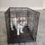 Dog cage 4 thumbnail