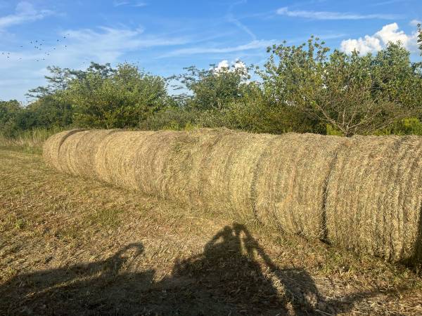 Roundbales 1