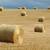 Straw Bales 2 thumbnail