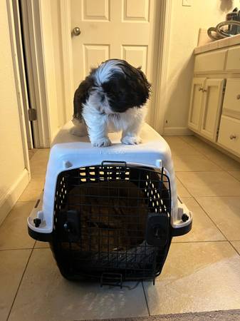 Dog crate 1