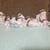 15 Dreamscicles Figurines 1 thumbnail