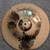 Sabian Cymbals 3 thumbnail