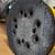 Dewalt Sander 2 thumbnail