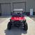 Polaris RZR 1 thumbnail