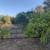 Sebastopol Countryside 1 bd. 1bth. ADU 3 thumbnail