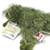 Webkinz Ganz Green Gecko HM186 Lizard Stuffed Animal New Sealed Tag 2 thumbnail