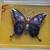 Butterfly pins 6 thumbnail