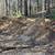 Aged Manure/Compost/fertilizer 3 thumbnail