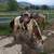 Horseback Adventure - Lesson and Pics included 4 thumbnail