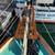 Pacific Seacraft Sailboat - Dark Horse 7 thumbnail