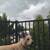 Rehoming 6 yr old white German shepherd 4 thumbnail