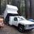 Chipping, stump grinding, felling, trimming, weed whacking, firewood splitting, 16 thumbnail