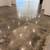 **Concrete Polish** 5 thumbnail