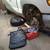 MOBILE BRAKES  * PADS * ROTORS * BRAKE SERVICE  *   Mobile Mechanic 24 thumbnail