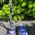 Progressive Canister Vacuum; Delivery Possible 1 thumbnail