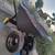Gorilla Wheelbarrow 1 thumbnail