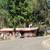 Bring your RV here and live it. Everything included RV Park Nice 3 thumbnail