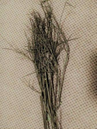 Decorative Branches 1