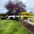Affordable Lawn Maintenance, Clean Ups, Shrub and Tree Pruning. 11 thumbnail