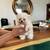 Cute puppies 2 thumbnail