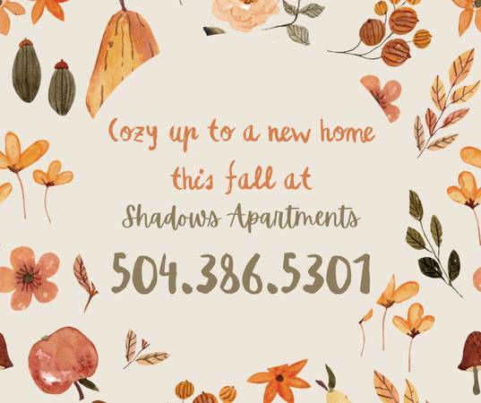 $1,020 / 1br - 567ft2 - ¡Vive cómodamente en Shadows Apartments! (Jefferson)63792041568259120