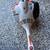 Stihl trimmer 5 thumbnail
