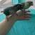Conures, Green cheeks pineapple, turquiose 7 thumbnail