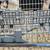 Frigidaire Professional Dishwasher PLD3460RDC1 - Parts 5 thumbnail