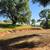 RV Spot on shared 5 acre parcel in Lotus area 1 thumbnail
