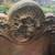 Ornate Cast Iron Planter 4 thumbnail