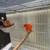 Canaries canarios 20 thumbnail