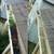 AFFORDABLE WINDOW, SOLAR PANEL, GUTTER CLEANING WASHING 19 thumbnail