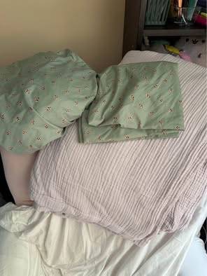 Girls Twin Sized Bedding Bundle 1