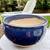 Hand thrown and signed Blue Pottery Bowl 5” 2 thumbnail
