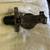 Corvette 1963 Brake Master Cylinder 1 thumbnail