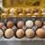 Tasty and fresh eggs $6 per dozen 8 thumbnail