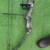 BEAR GRIZZLY VII COMPOUND BOW, LEFT HAND! 2 thumbnail