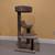 Cat Tree 1 thumbnail