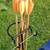 Wanted:  CHILD ARCHERY ITEMS, TARGET ARROWS, for Archery setup 10 thumbnail