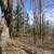 5.5 Acres on Lake Minnewawa 5 thumbnail