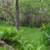 Well-Manicured Home in One if Cranberry's Original Neighborhoods! 4 thumbnail