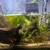 Fish + enclosure 3 thumbnail