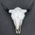 Authentic Bison Skull 1 thumbnail