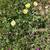 Premier 11.61-Acre Acton Parcel with Limitless Potential 10 thumbnail